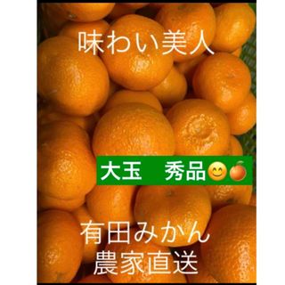 有田みかん農家直送ブランド味わい美人大玉秀品箱込み5キロ(フルーツ)