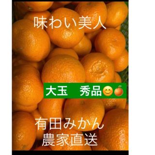 有田みかん農家直送ブランド味わい美人大玉秀品箱込み5キロ(フルーツ)