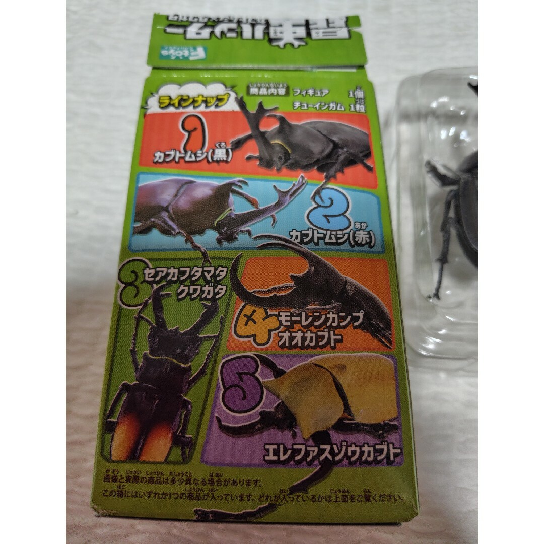 エフトイズ 昆虫ハンター　カブトムシ黒 エンタメ/ホビーのおもちゃ/ぬいぐるみ(その他)の商品写真