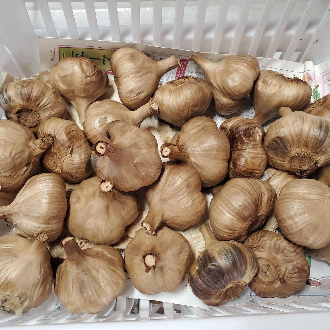青森県産　黒にんにく　500g 食品/飲料/酒の食品(野菜)の商品写真