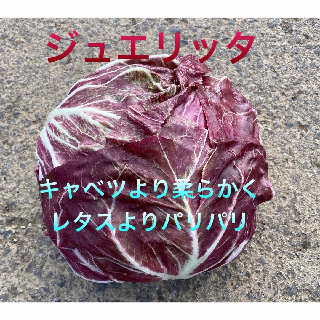 クリスマスSALE  採れたて新鮮野菜　80サイズ  食品/飲料/酒の食品(野菜)の商品写真