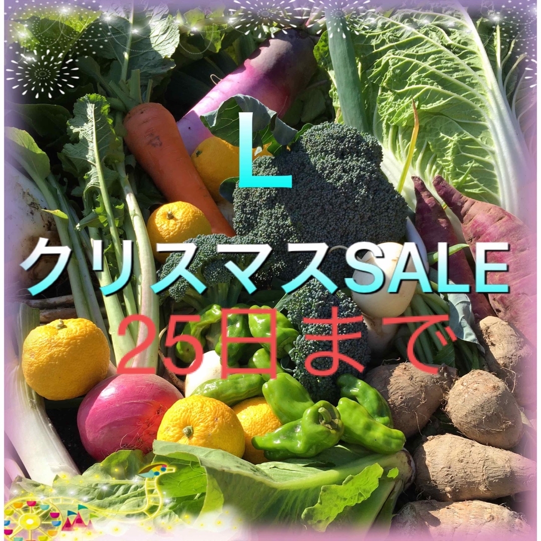 クリスマスSALE  採れたて新鮮野菜　80サイズ  食品/飲料/酒の食品(野菜)の商品写真