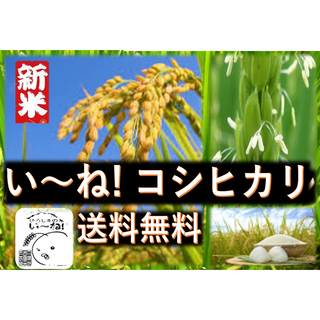 広島県産★R５年産　★い～ね！コシヒカリ30kg（精米後27kgになります。）(米/穀物)