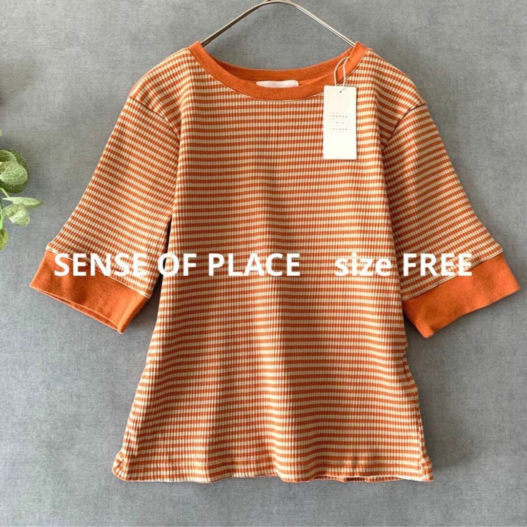 SENSE OF PLACE by URBAN RESEARCH(センスオブプレイスバイアーバンリサーチ)の新品☆SENSE OF PLACE 5分袖ボーダーニットカットソー オレンジ レディースのトップス(カットソー(半袖/袖なし))の商品写真