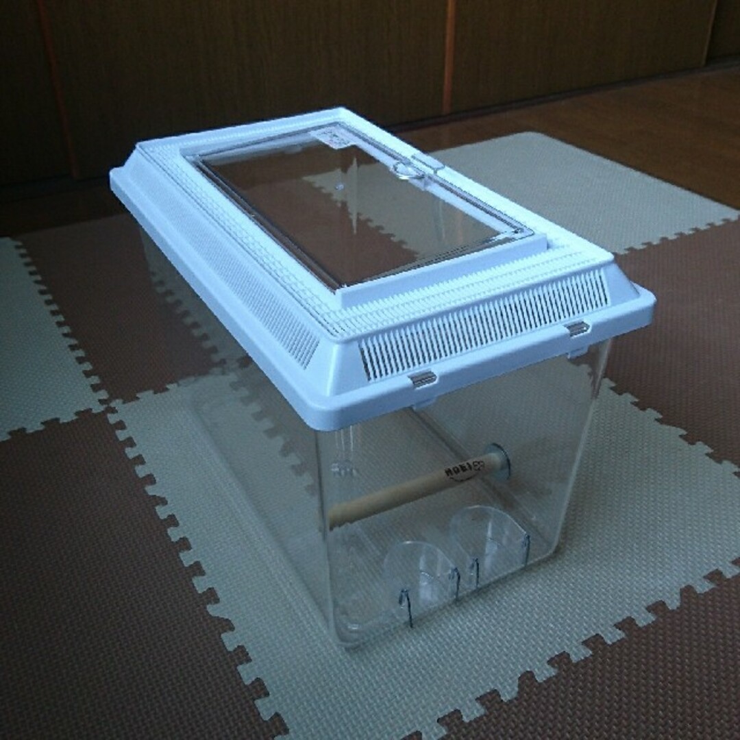 SANKO Shokai(サンコウショウカイ)の穴空きプラスチックケース (大)  SANKO パノラマ(L)  オカメインコ用 その他のペット用品(鳥)の商品写真