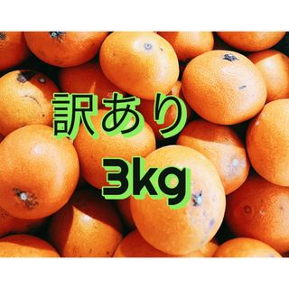 訳あり3kg 愛媛県産愛果28号（紅まどんな）(フルーツ)