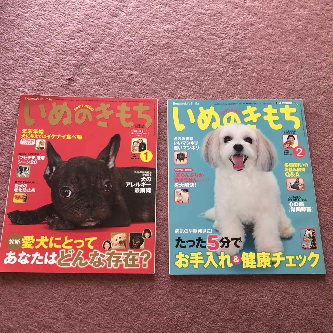 Benesse(ベネッセ)のいぬのきもち 2013年1月号〜4月号 まとめ売り その他のペット用品(犬)の商品写真