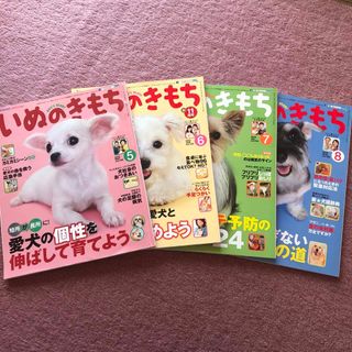 ベネッセ(Benesse)の雑誌 いぬのきもち 2013年5月号〜8月号 まとめ売り(犬)