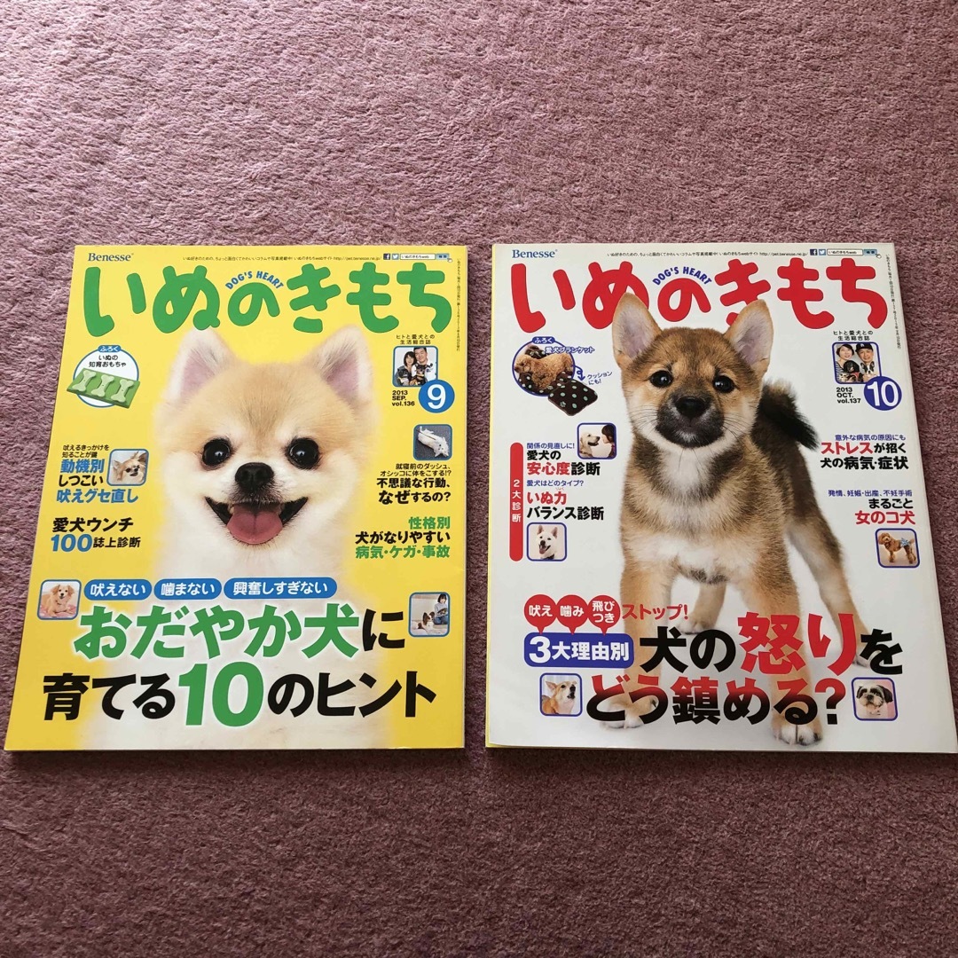 Benesse(ベネッセ)の雑誌 いぬのきもち 2013年9月号〜12月号 まとめ売り その他のペット用品(犬)の商品写真