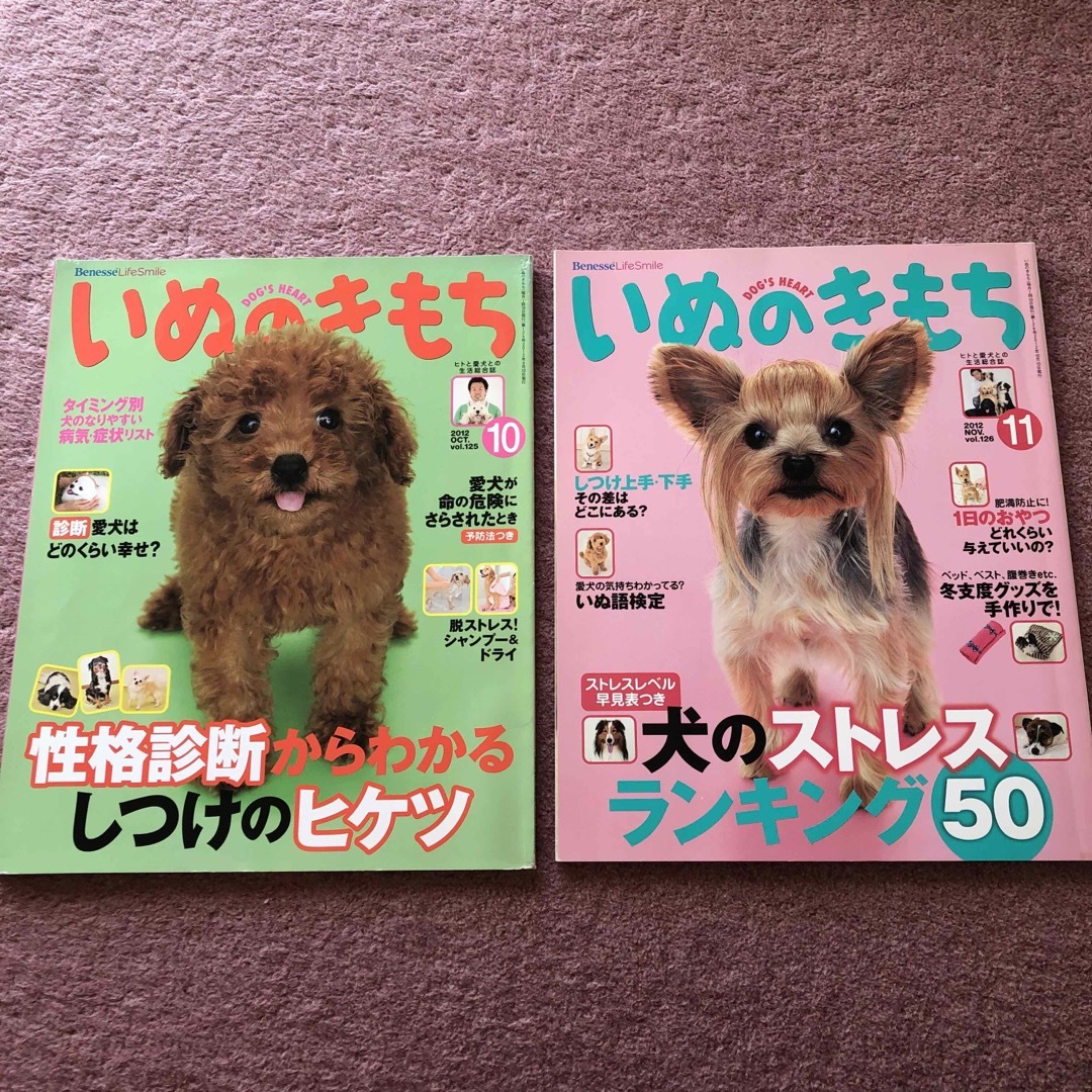 Benesse(ベネッセ)の雑誌 いぬのきもち 2012年10月号〜12月号 まとめ売り その他のペット用品(犬)の商品写真