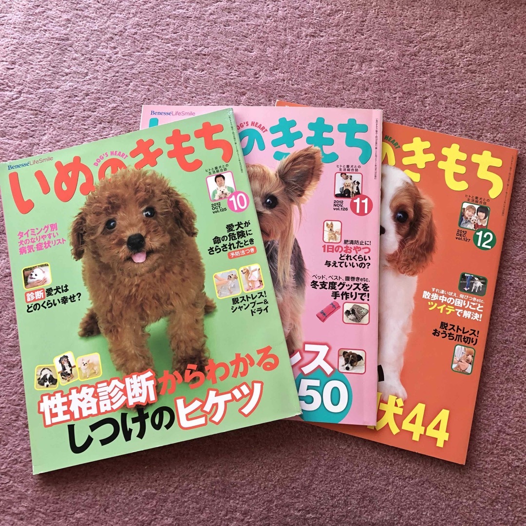 Benesse(ベネッセ)の雑誌 いぬのきもち 2012年10月号〜12月号 まとめ売り その他のペット用品(犬)の商品写真