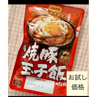 お試し　日本食研　焼豚玉子飯　丼のたれ　備蓄　甘辛　ご飯のお供　B級グルメ(調味料)