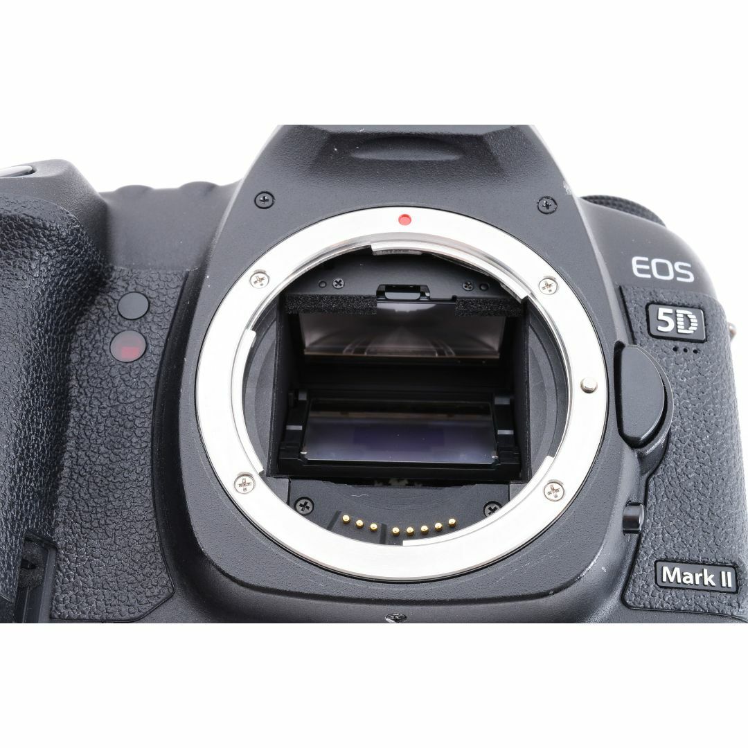 スマホ/家電/カメラL15/5423-16 / Canon EOS 5D MarkII ボディ