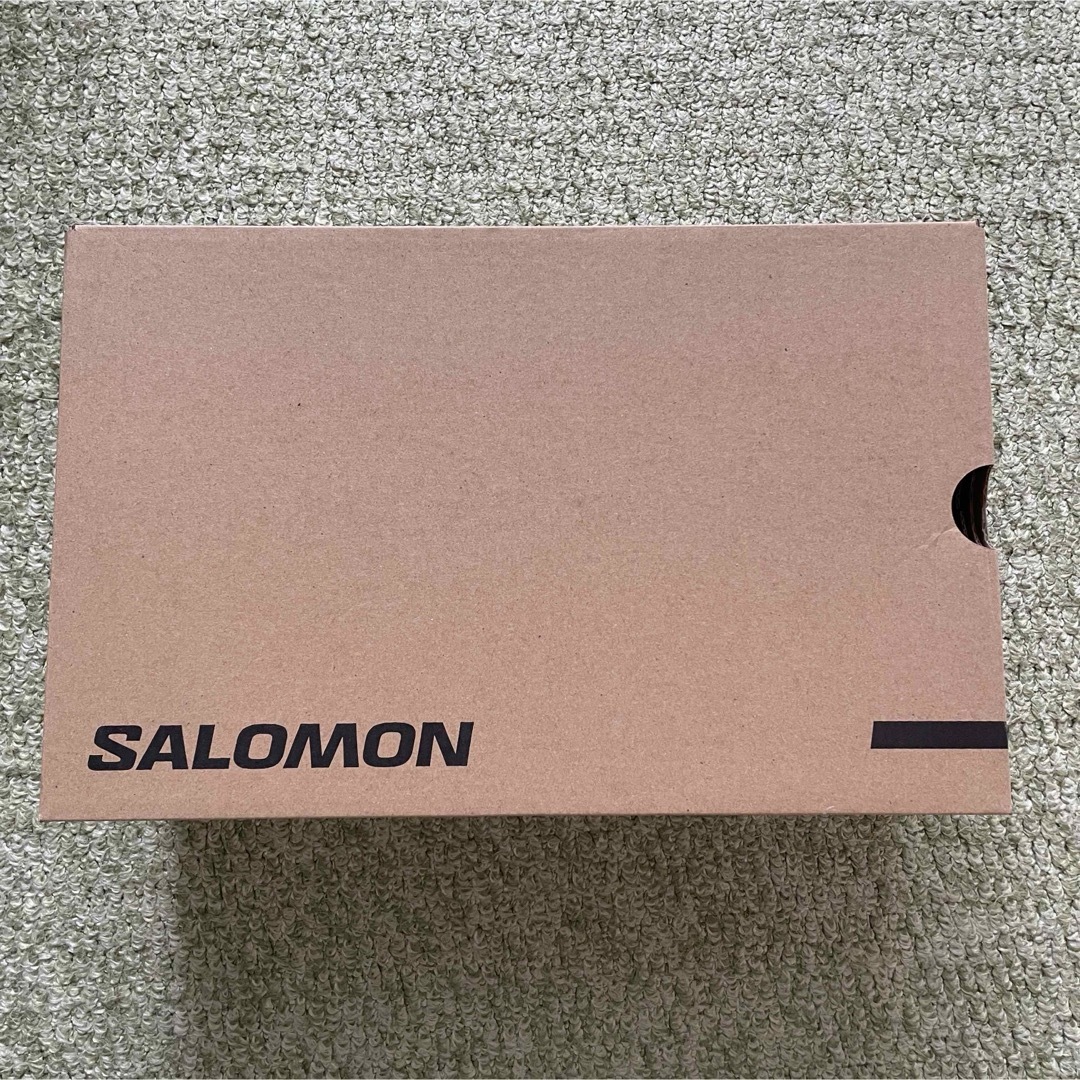 SALOMON(サロモン)のSalomon XT-6 Cathay Spice 28.0cm UK9.5 メンズの靴/シューズ(スニーカー)の商品写真