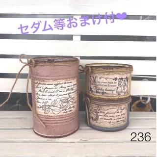 リメイク缶236☆多肉植物☆寄せ植え☆インテリア(その他)