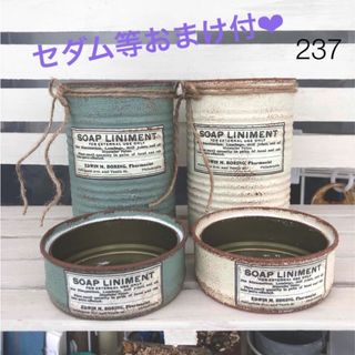 リメイク缶237☆多肉植物☆寄せ植え☆インテリア(その他)