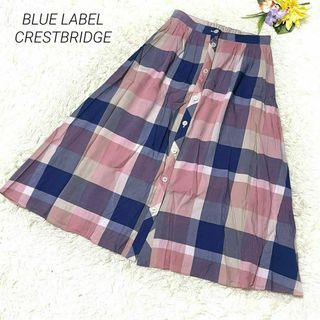 ブルーレーベルクレストブリッジ(BLUE LABEL CRESTBRIDGE)のブルーレーベルクレストブリッジ　フレアスカート　ロング　チェック　Aライン　38(ロングスカート)