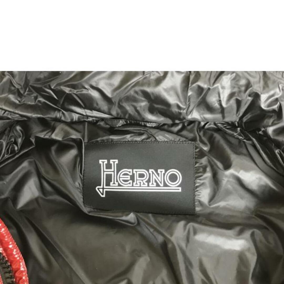 HERNO ヘルノ/ダウンジャケット ボンバー グロス/PI0769U-12220-6500/52(XL)/メンズアウター/Aランク/51【中古】 メンズのジャケット/アウター(ダッフルコート)の商品写真