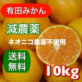 【有田みかん】減農薬ネオニコ農薬不使用 家庭用 正味10kg(フルーツ)