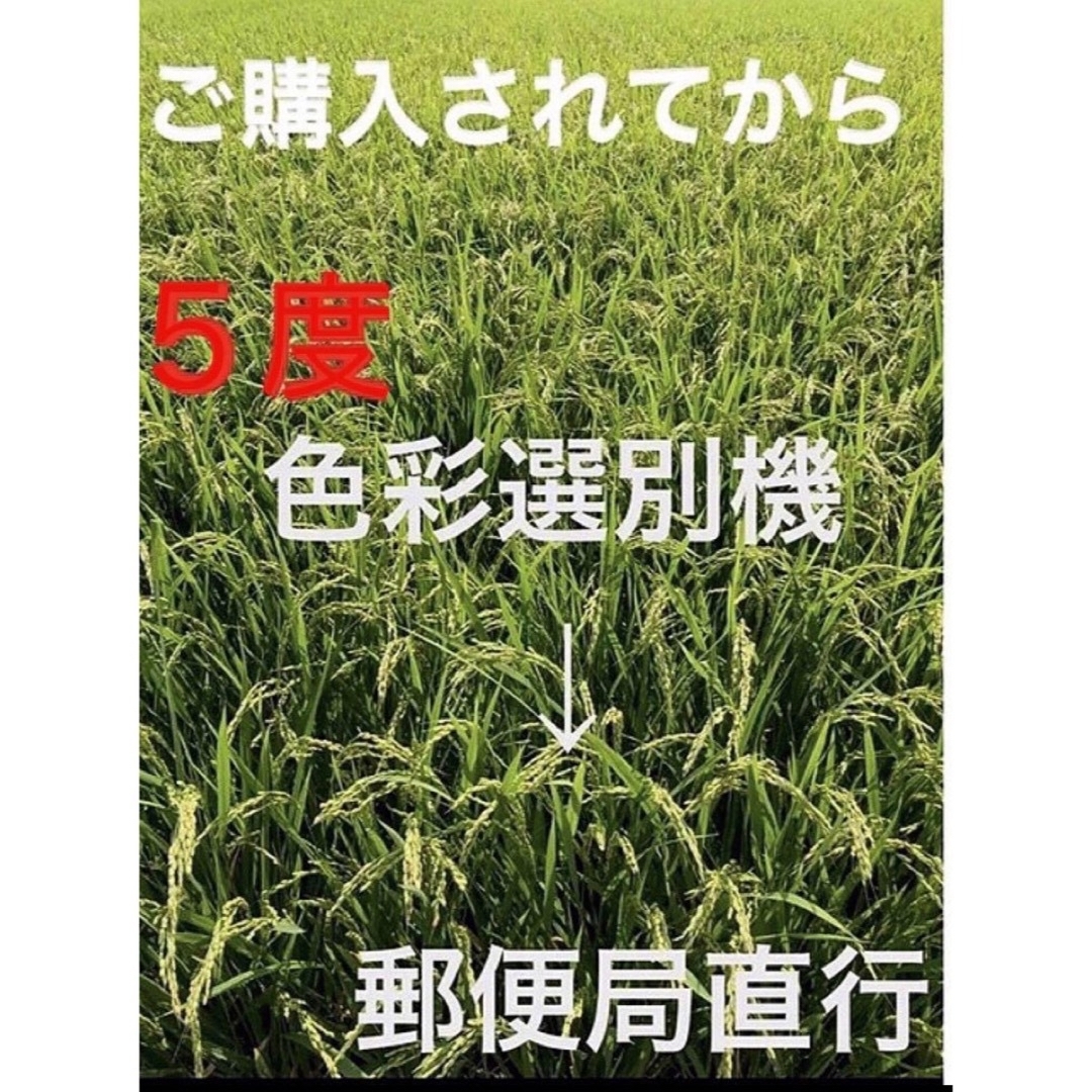 ⭐️ 新米R５年産✳️５回選別ミルキークイーン10キロ有機肥料・減農・送料無料 食品/飲料/酒の食品(米/穀物)の商品写真