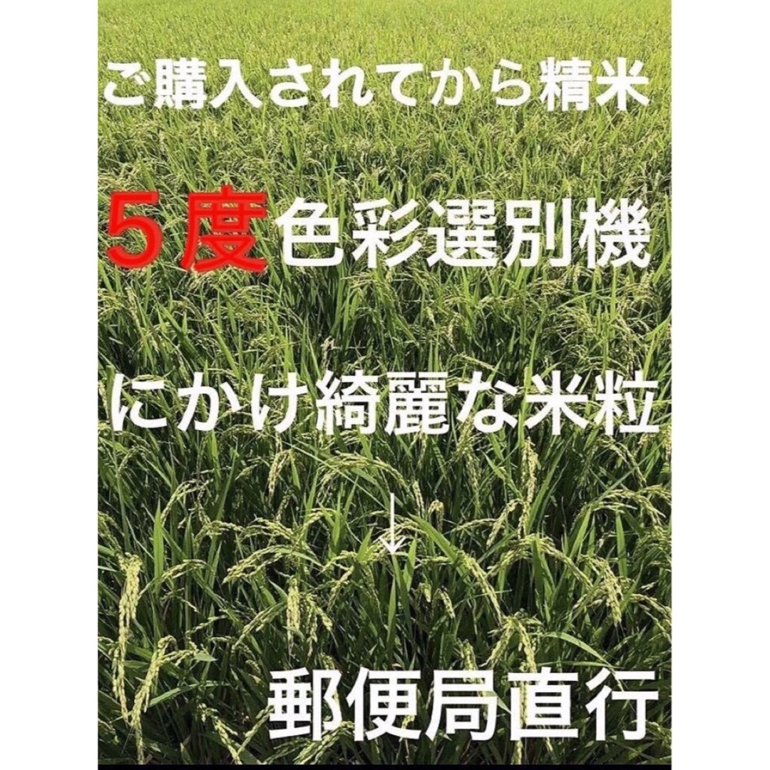 ⭐️ 新米R５年産✳️５回選別ミルキークイーン10キロ有機肥料・減農・送料無料 食品/飲料/酒の食品(米/穀物)の商品写真