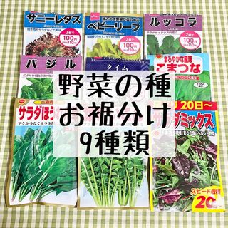 ★ 野菜の種 お裾分け 9種類 各20粒＋α(野菜)