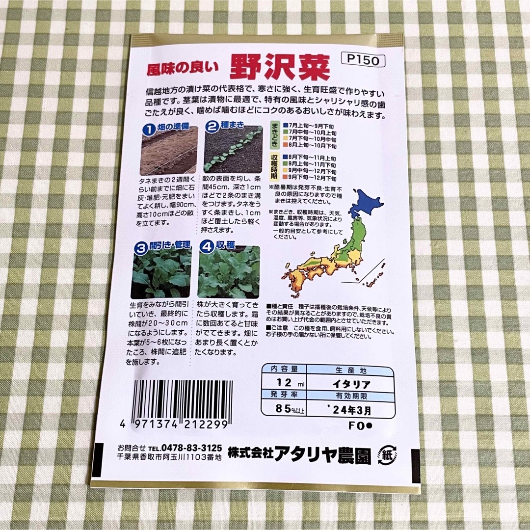 ★ 漬け物に 野菜の種 お裾分け  広島菜・たかな・野沢菜 各40粒＋α  食品/飲料/酒の食品(野菜)の商品写真