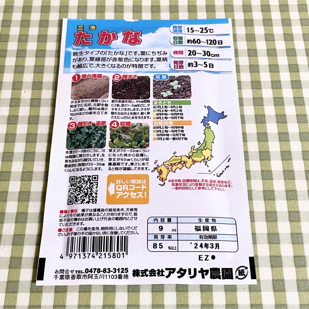 ★ 漬け物に 野菜の種 お裾分け  広島菜・たかな・野沢菜 各40粒＋α  食品/飲料/酒の食品(野菜)の商品写真