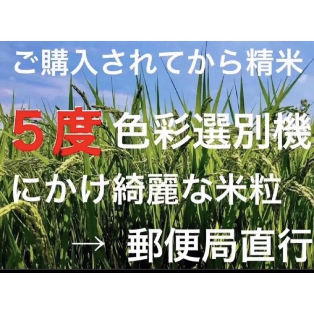 採れたて新米✳️令和５年産✳️５回色彩選別・有機肥料・送料無料ハツシモ20キロ 食品/飲料/酒の食品(米/穀物)の商品写真