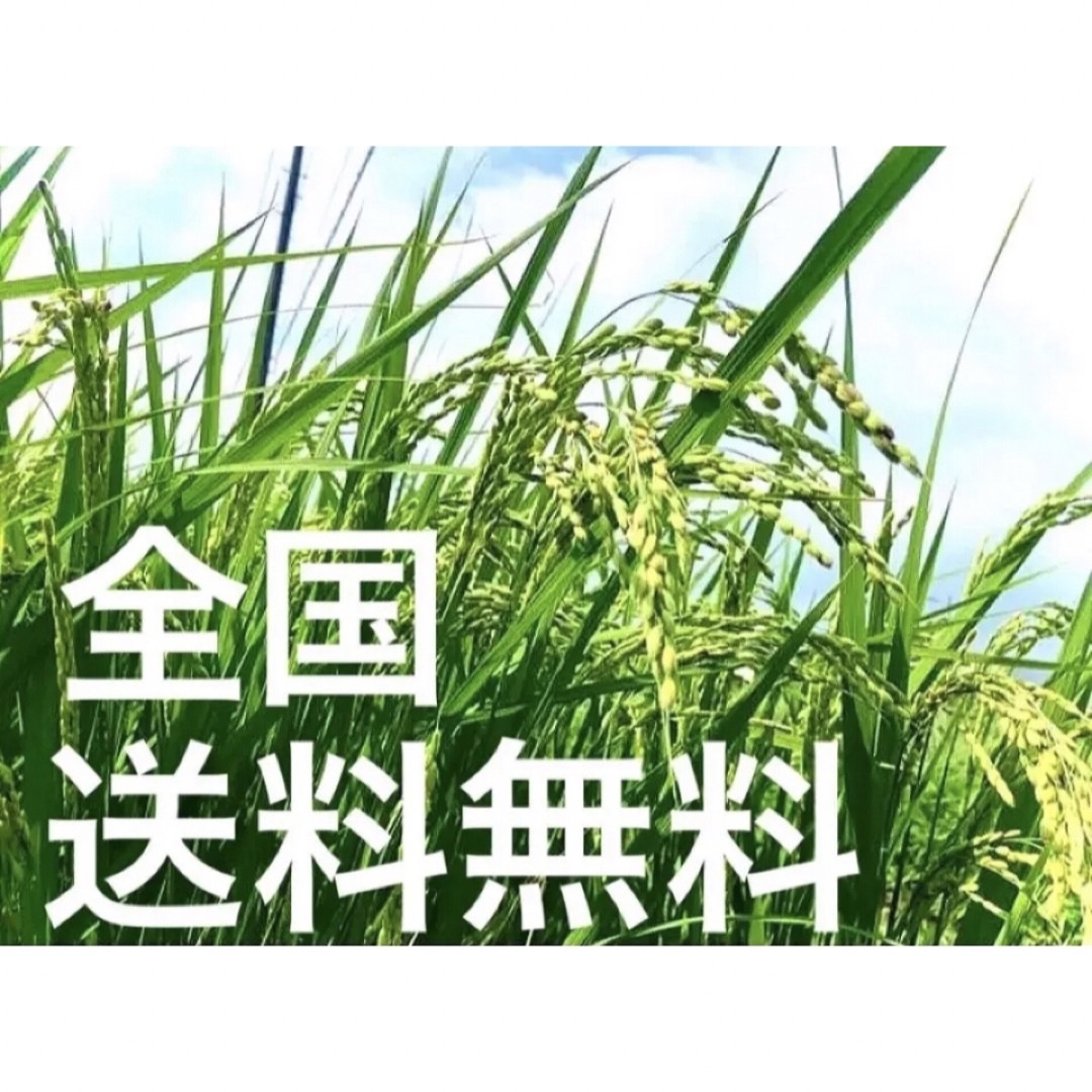 採れたて新米✳️令和５年産✳️５回色彩選別・有機肥料・送料無料ハツシモ20キロ 食品/飲料/酒の食品(米/穀物)の商品写真