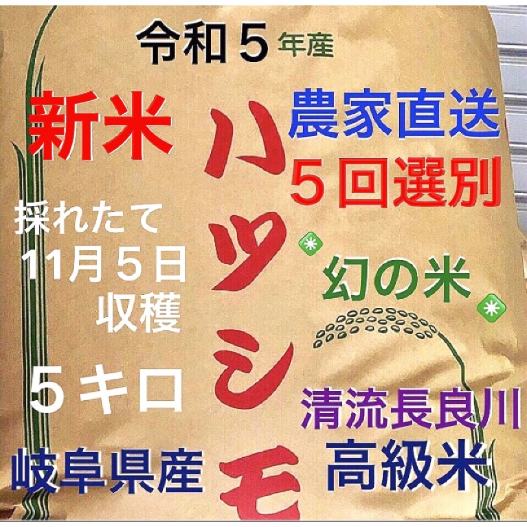 採れたて新米✳️令和５年産✳️５回色彩選別・有機肥料・送料無料ハツシモ５キロ 食品/飲料/酒の食品(米/穀物)の商品写真