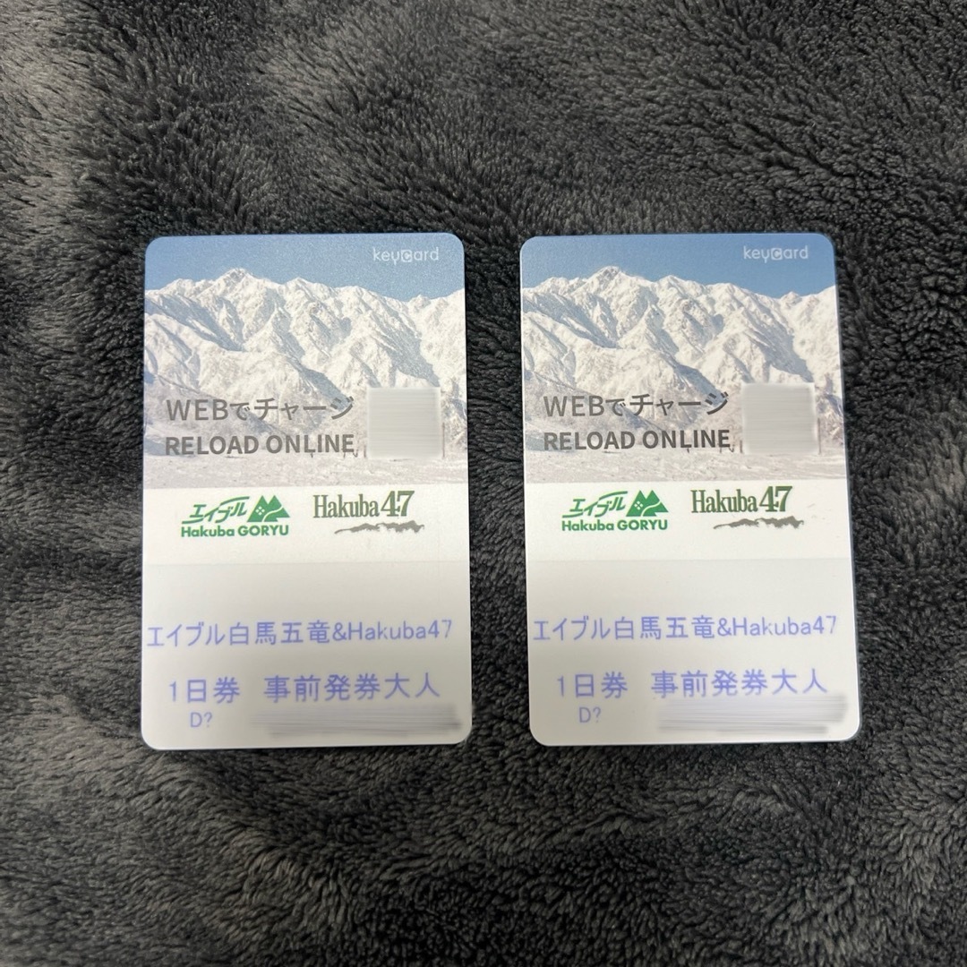 HAKUBA(ハクバ)の白馬五竜　Hakuba47 リフト券2枚セット チケットの施設利用券(スキー場)の商品写真