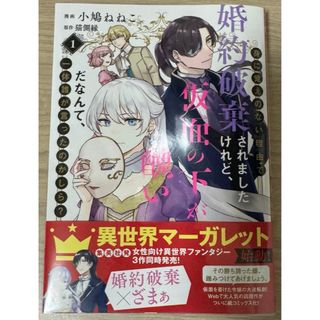 身に覚えのない理由で婚約破棄されましたけれど、仮面の下が醜いだなんて、一体誰が言(少女漫画)