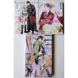 BL小説 3冊「王と剣」「兄弟とは名ばかりの」「恋の冷めない距離」(ボーイズラブ(BL))