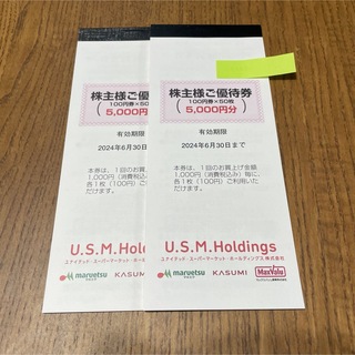 USMH ユナイテッドスーパー マルエツ カスミ 株主優待券 10,000円分(ショッピング)