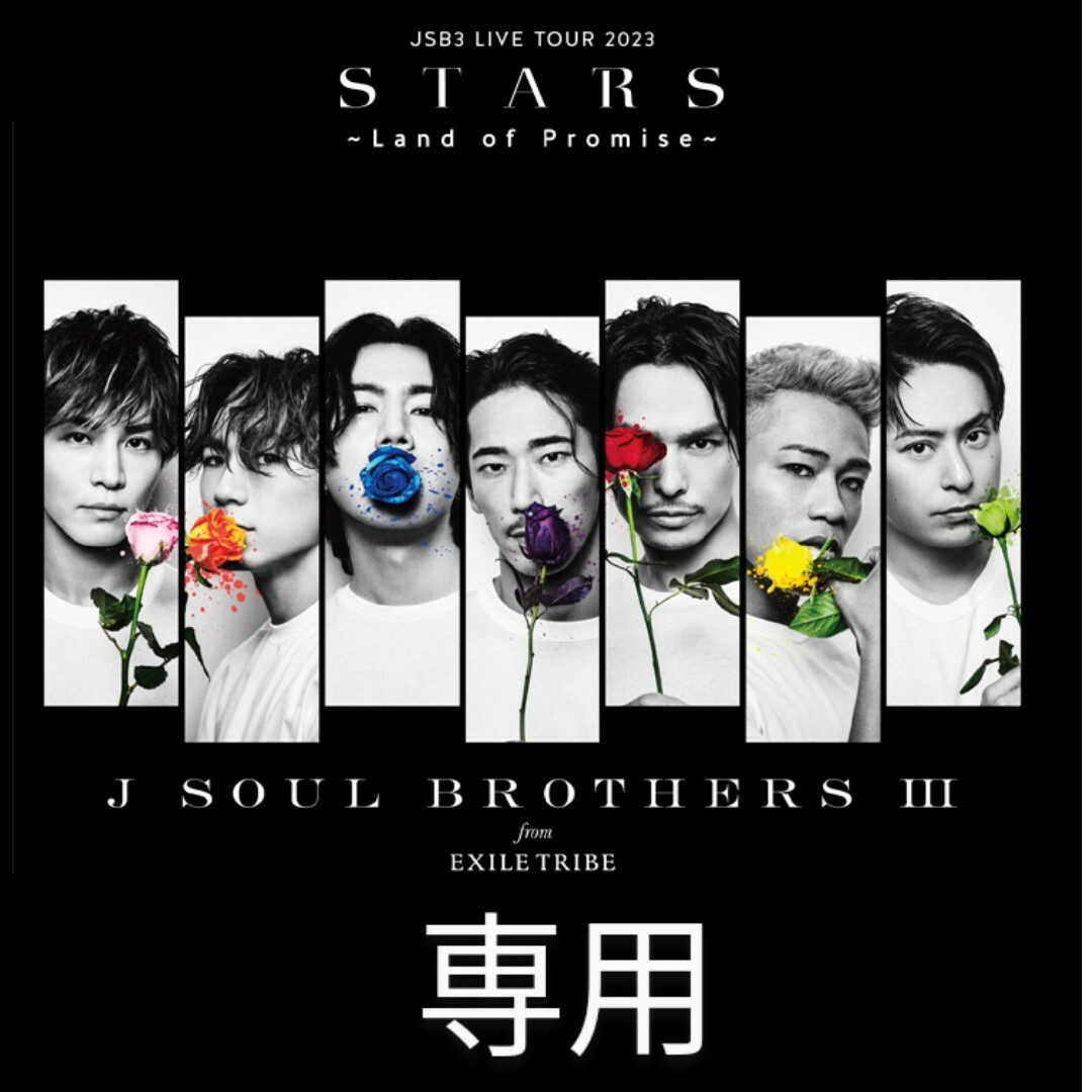 三代目 J Soul Brothers(サンダイメジェイソウルブラザーズ)の三代目JSBLANDライブグッズ　フォンタブストラップ エンタメ/ホビーのDVD/ブルーレイ(ミュージック)の商品写真