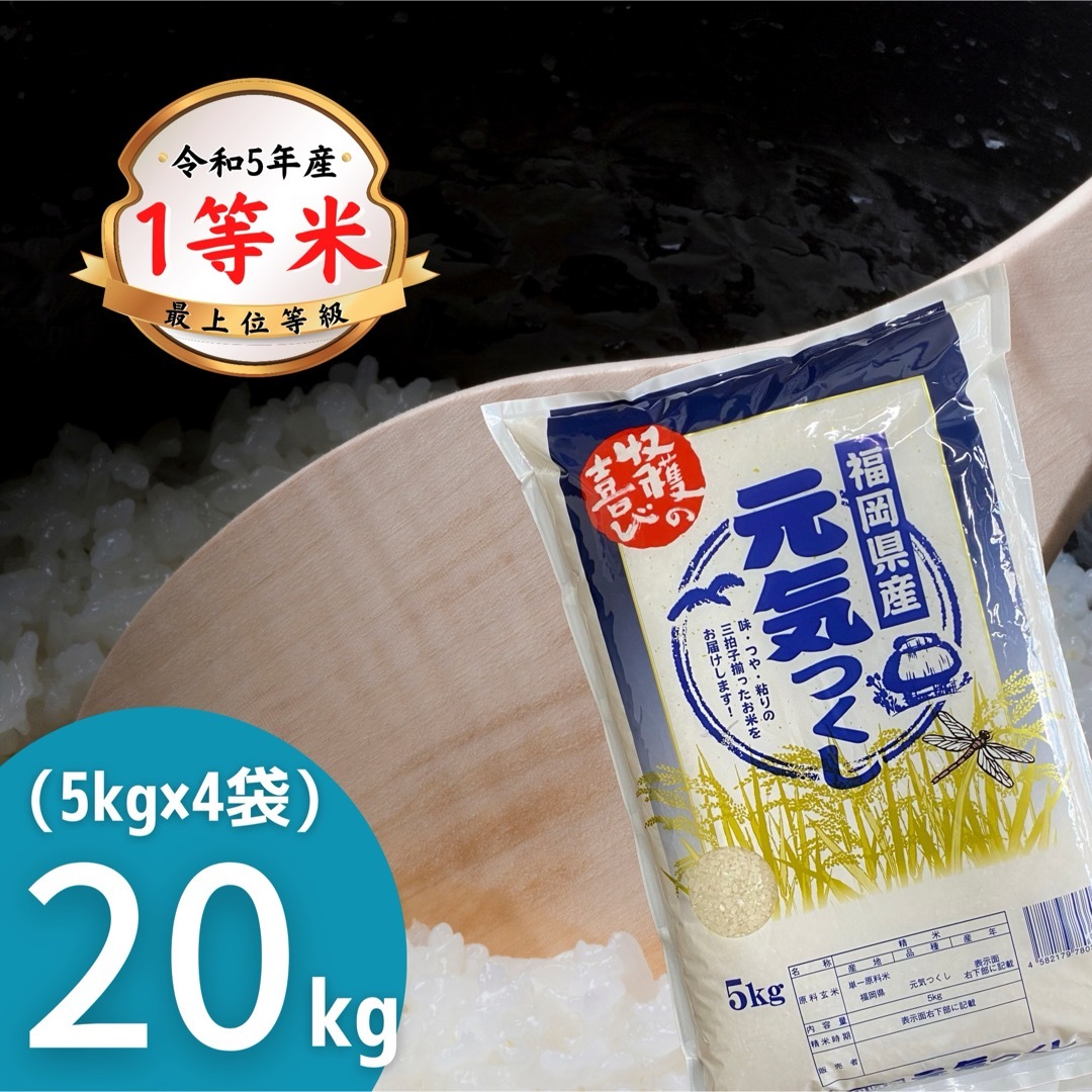 精米産地元気つくし20kg《令和5年》1等米 厳選米 福岡県産 お米 安い 美味しい