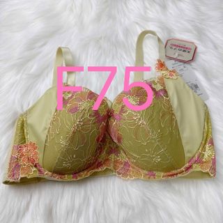 トリンプ(Triumph)のトリンプ プレミアム レッドレーベル0091 ブラジャー レディースF75(ブラ)