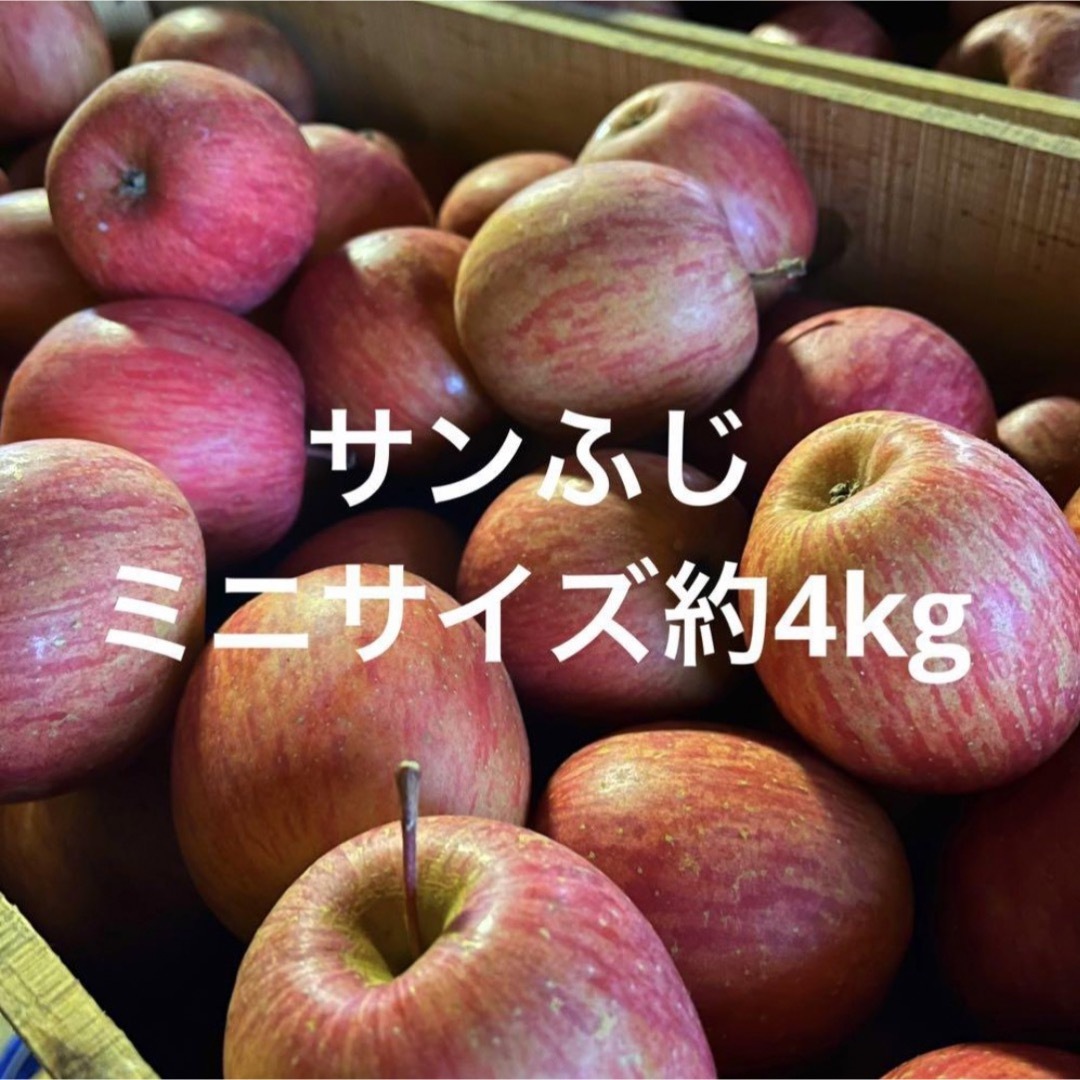 産地直送　サンふじ　青森県産　りんご　訳あり 食品/飲料/酒の食品(フルーツ)の商品写真