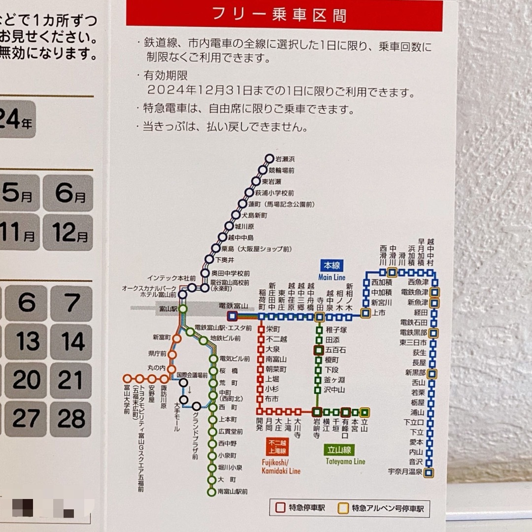 富山地方鉄道　鉄道線　市内電車フリーきっぷ チケットの乗車券/交通券(鉄道乗車券)の商品写真