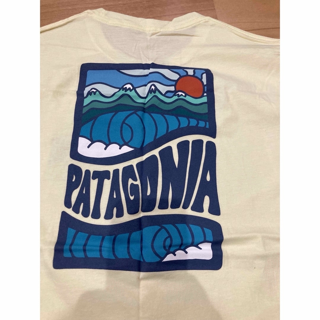 patagonia(パタゴニア)のPatagoniaオーガニックスリムフィットTシャツ メンズのトップス(Tシャツ/カットソー(半袖/袖なし))の商品写真