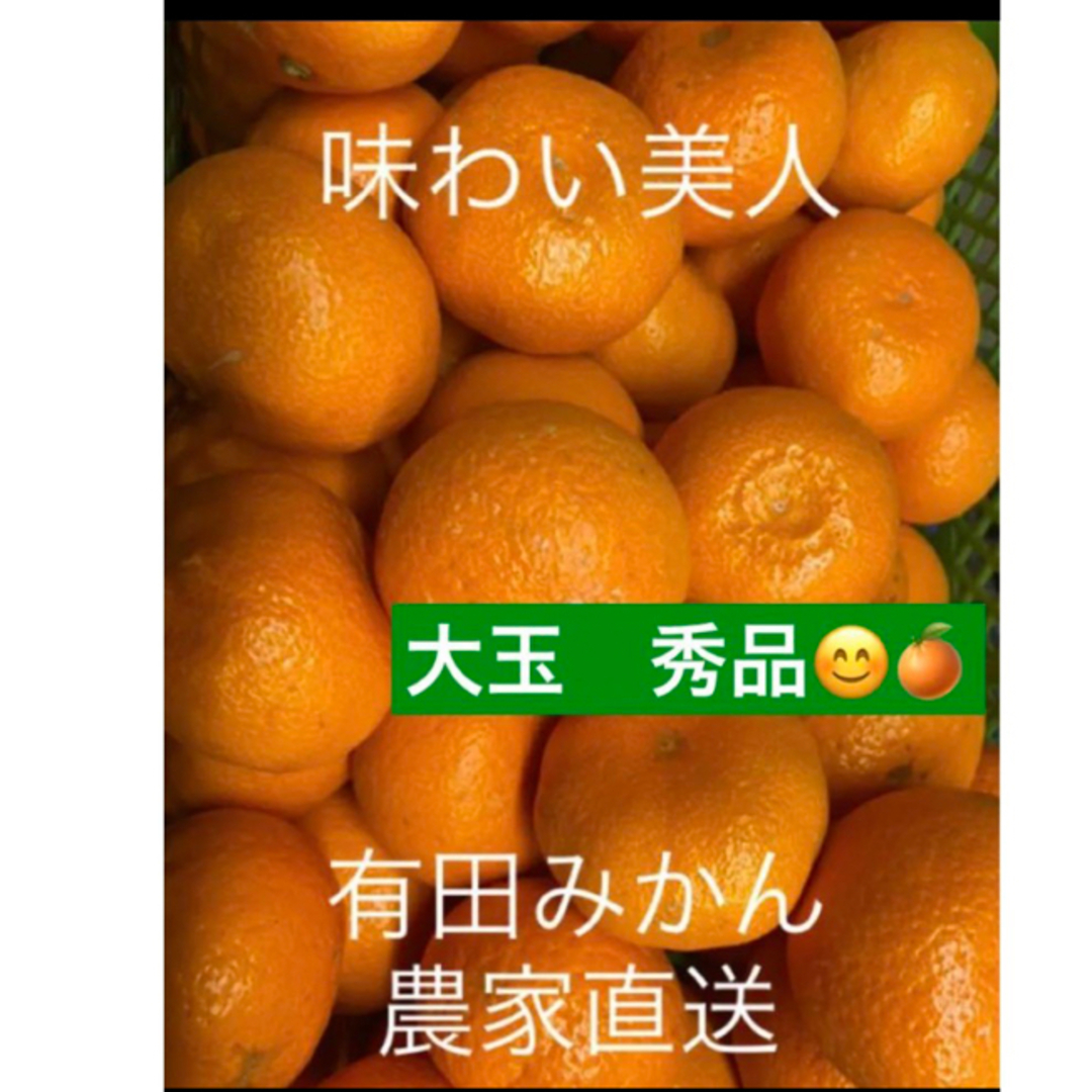 有田みかん農家直送🌟ブランド味わい美人大玉秀品箱込み5キロ 食品/飲料/酒の食品(フルーツ)の商品写真