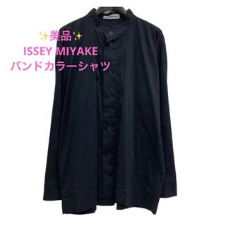 イッセイミヤケ(ISSEY MIYAKE)のイッセイミヤケ レディース カラーシャツ M 長袖 【ISSEY MIYAKE】(シャツ/ブラウス(長袖/七分))