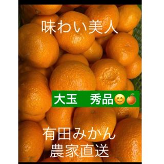 有田みかん農家直送🌟ブランド味わい美人大玉秀品箱込み5キロ(フルーツ)