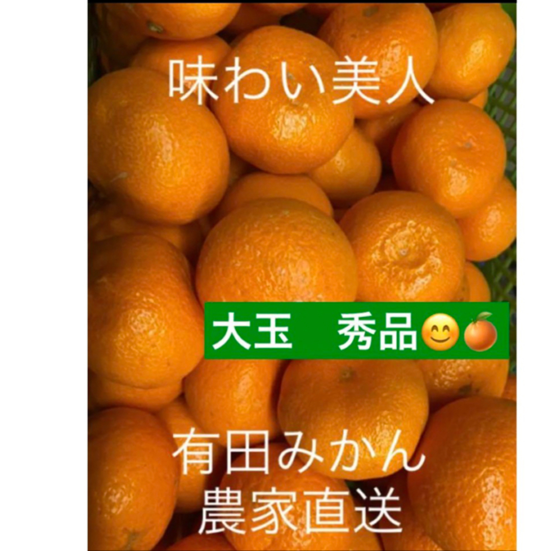 有田みかん農家直送🌟ブランド味わい美人大玉秀品箱込み5キロ 食品/飲料/酒の食品(フルーツ)の商品写真