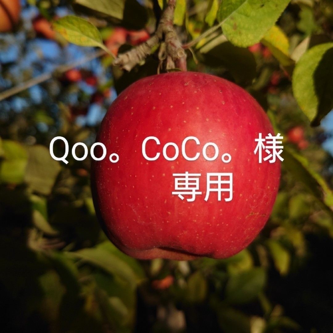 【Qoo。CoCo。様専用】 食品/飲料/酒の食品(フルーツ)の商品写真