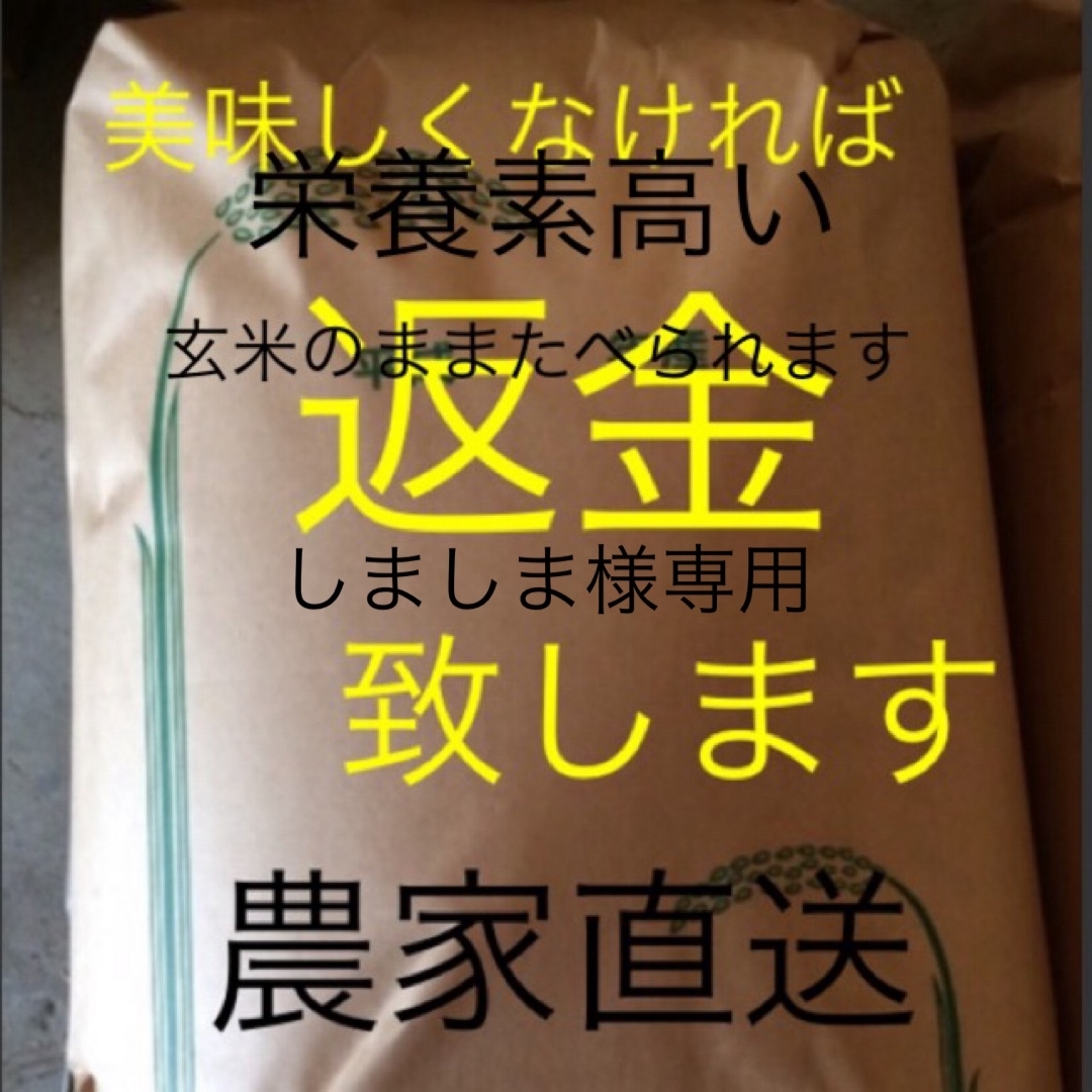 しましま様専用　送料分 食品/飲料/酒の食品(米/穀物)の商品写真