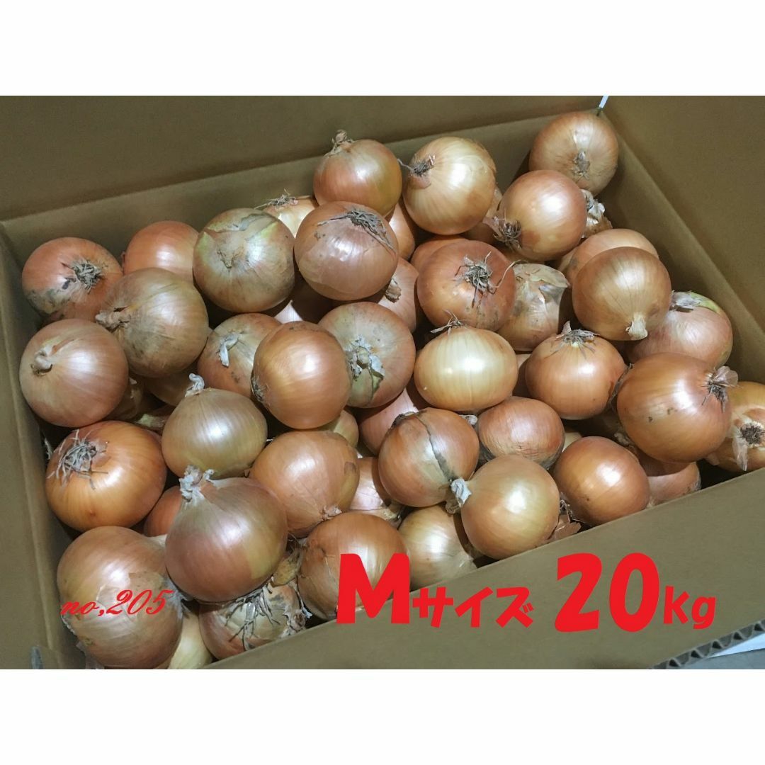 北海道産　タマネギ　Ｍサイズ　20kg　農家直送 食品/飲料/酒の食品(野菜)の商品写真