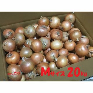 北海道産　タマネギ　Ｍサイズ　20kg　農家直送(野菜)