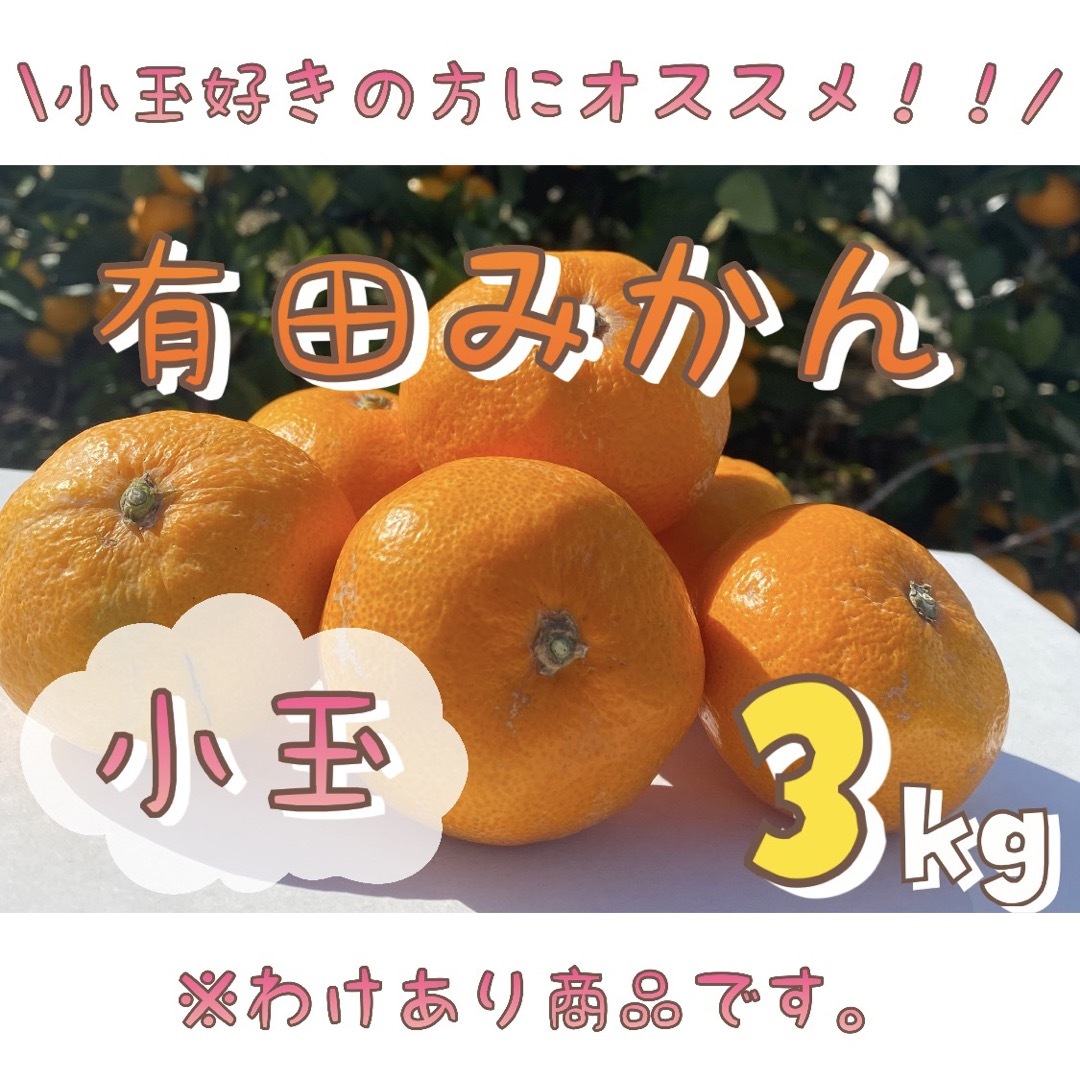 わけあり！和歌山県産 有田みかん 3kg 小玉 ミカン フルーツ 食品/飲料/酒の食品(フルーツ)の商品写真